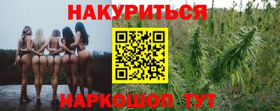 прущие грибы Волгодонск