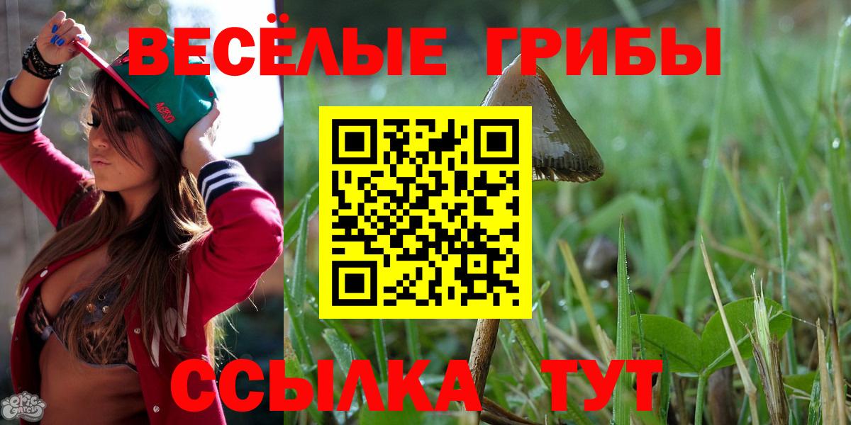 Псилоцибиновые грибы Psilocybe Магнитогорск